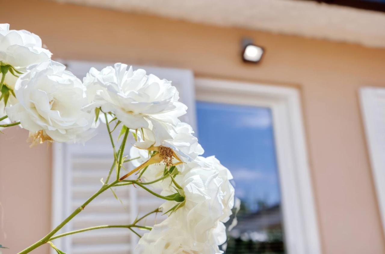 Villa Laurus Garden Medulin Exterior foto